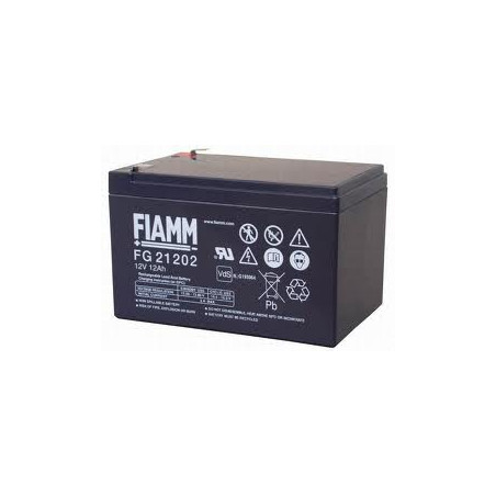 FG21202 recargable 12v 12ah Faston 6.3mm