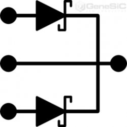 GC2X5MPS12-247 Dioda SiC