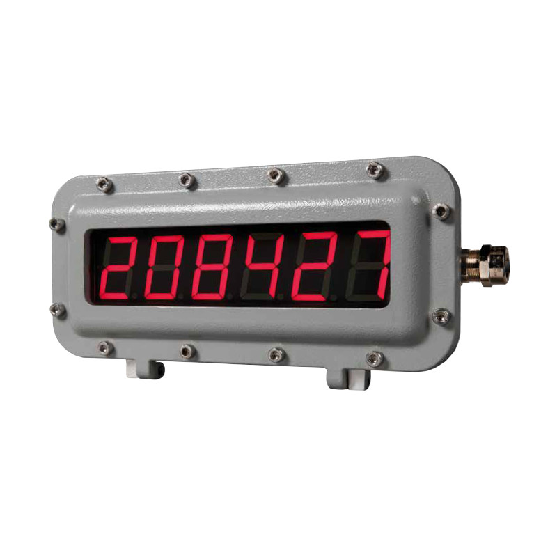 Afisaje digitale Ex - 6 Cifre LED Afisaje digitale Ex - 6 Cifre LED