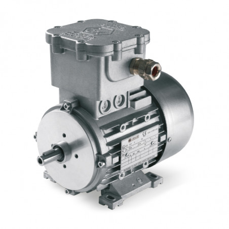 ATEX engines
