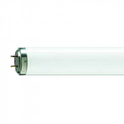 Fluorescent PHILIPS tip TL