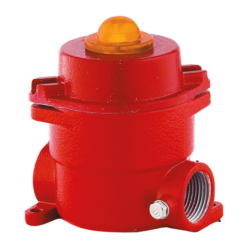 EX045LDPAGSPAMB240A PRZECIWYBUCHOWA LINGA KONTROLNA EX045LDPAGSPAMB240A PRZECIWYBUCHOWA LINGA KONTROLNA