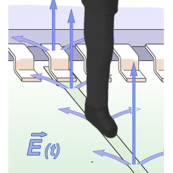 RF-E 05 Sonda pola e 30 MHz...