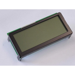 DEM 16228 FGH-PW alphanumeric displays