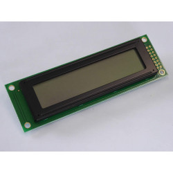 DEM 20231 FGH-PW alphanumeric displays