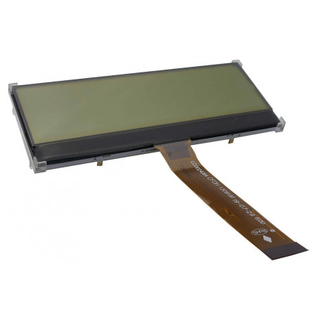 DEM 240064F FGH-PW LCD-Monochromo grafiniai ekranai