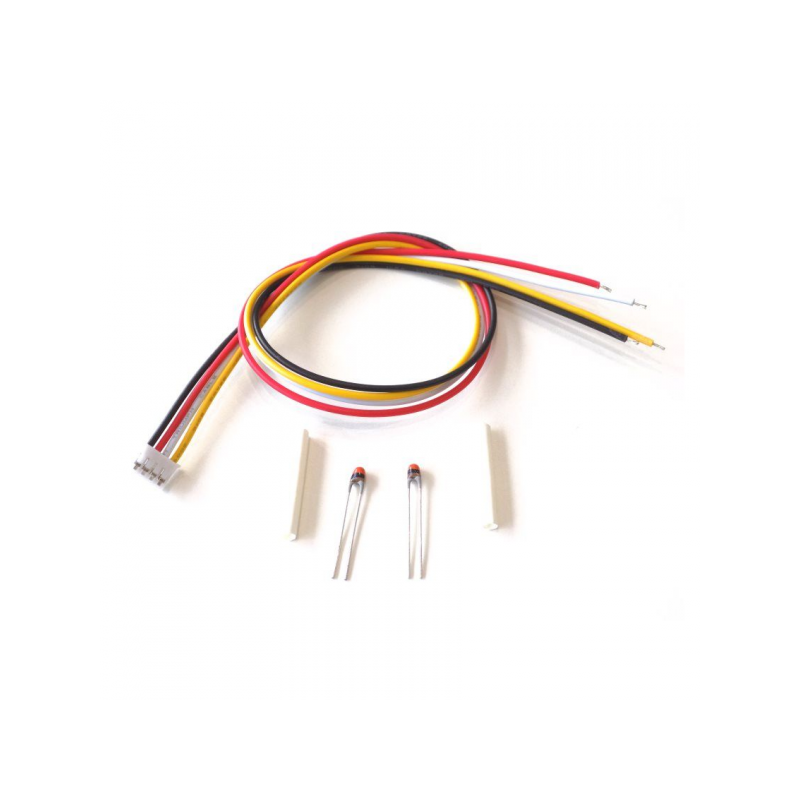 Two Point Temperature Sensor (For TinyBMS)