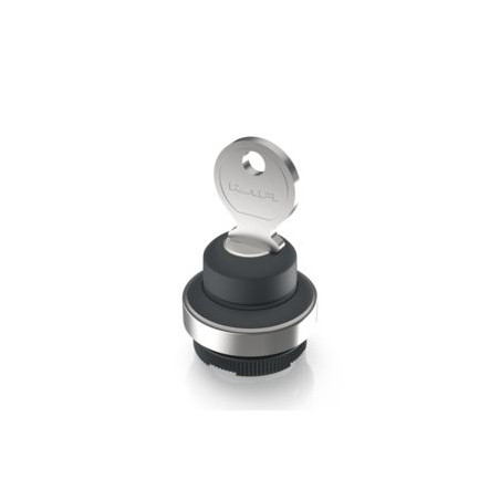 RAFIX 22 FSR Key switch 2x40 °, temporary