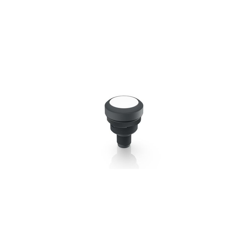 Ramo 22 I, Lampa de control, M12 cu 4 pini A-codat, alb Ramo 22 I, Lampa de control, M12 cu 4 pini A-codat, alb