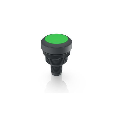 RAMO 22 I, Lampka kontrolna, M12 4-pin A-coded, zielona