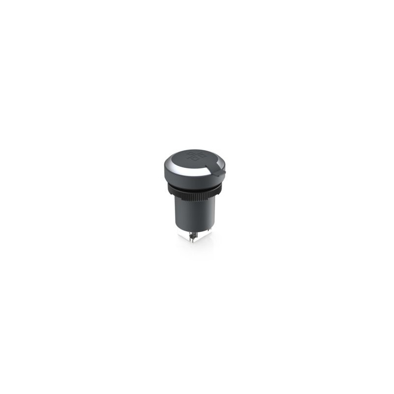 Ramo 22 F, RJ 45 Cat 5 priză, argint Ramo 22 F, RJ 45 Cat 5 priză, argint