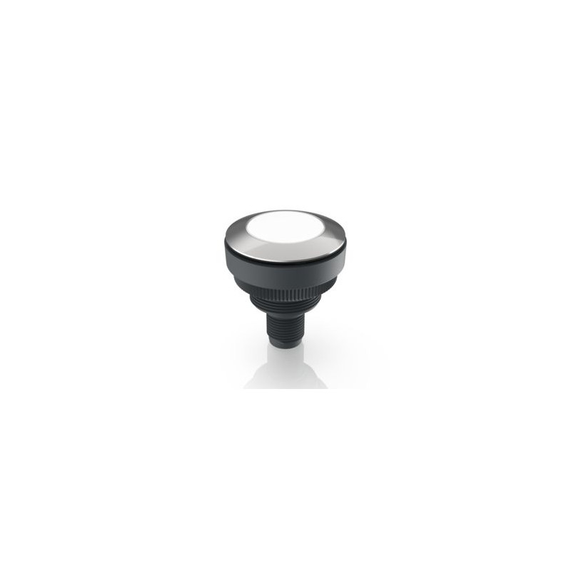 Ramo 30 I, Lampa de control, M12 cu 4 pini A-codat, alb Ramo 30 I, Lampa de control, M12 cu 4 pini A-codat, alb