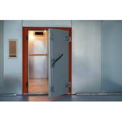 Cuști Faraday și camere blindate