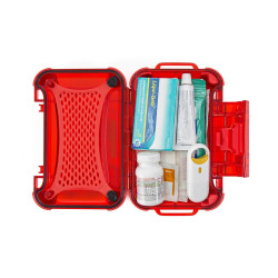 Nano suitcase Nanuk - NANUK Nano 310 - Empty - 310S-000CL-0A0
