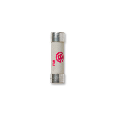 FWH-005A6F Fast fuse
