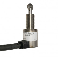 Microswitch 21Ch28