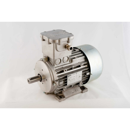 Silnik elektryczny EX 0,25 kW 700 obr/min OH080B8H2305Q4U