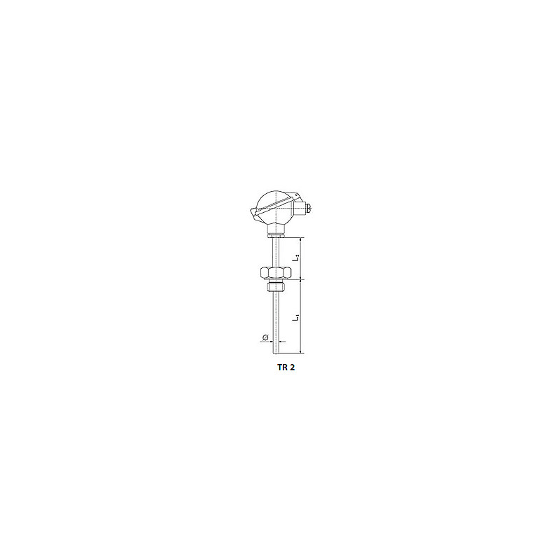 Resistant temperature sensor with screw thread and replaceable measurement insert. Type tr2