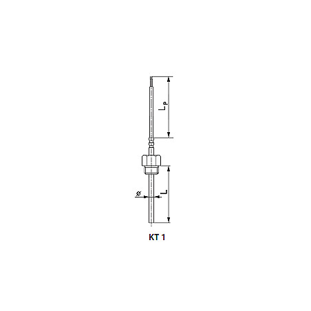 Thermoelectric or resistant temperature sensor. Type kt1