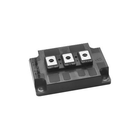 CM300DY-24H IGBT modulis