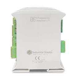 12004000100 RASPBERRY PLC 19R - 8GB
