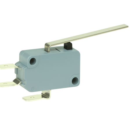 V15H22-CZ100A03 Microswitch