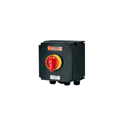 Wyłącznik bezpieczeństwa Ex 40A GHG 263 0050 R0002