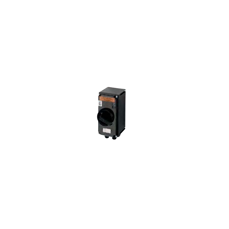 Safety switch for zones 22 (25A) GHG 981 0048 R1211