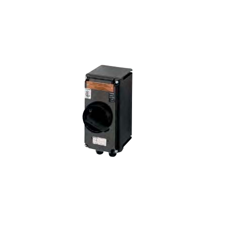Safety switch for zones 22 (25A) GHG 981 0048 R1211