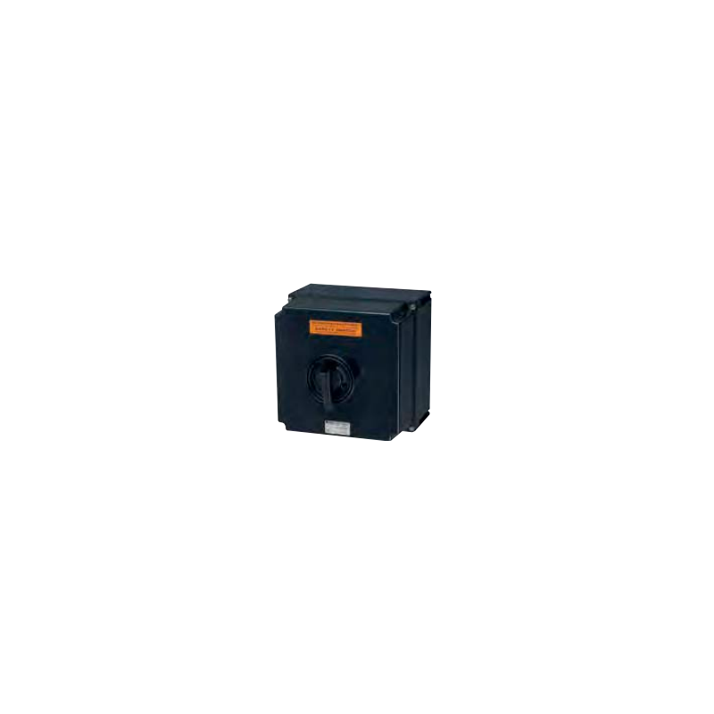 Safety switch for zones 22 (100A) GHG 981 0048 R0245 Safety switch for zones 22 (100A) GHG 981 0048 R0245