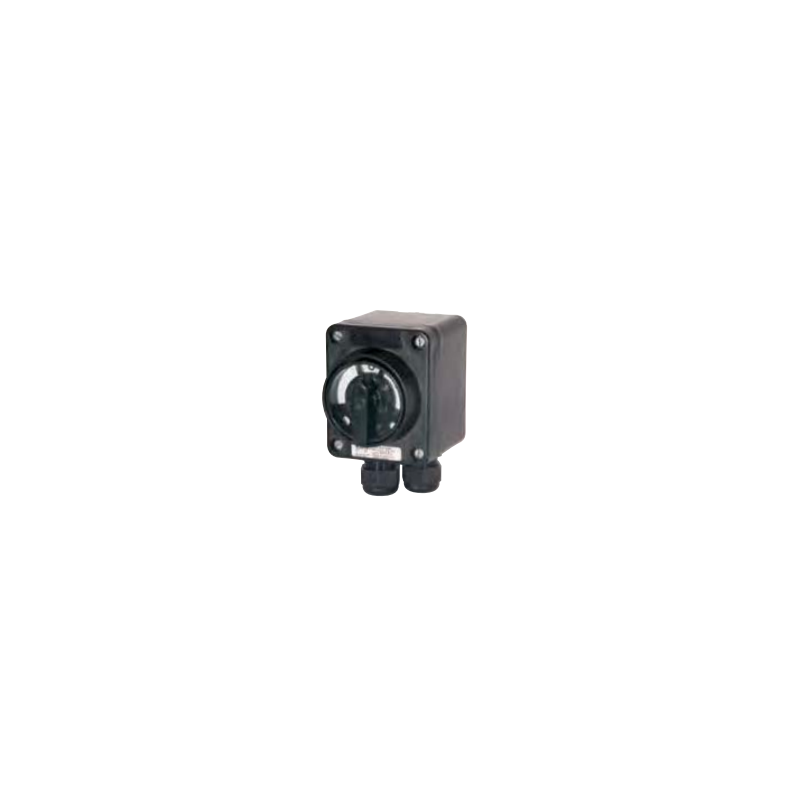 Industrial safety switch Ex (10A) GHG 981 0014 R0011 Industrial safety switch Ex (10A) GHG 981 0014 R0011