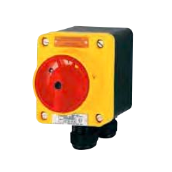 Industrial safety switch Ex (10A) GHG 981 0014 R0012