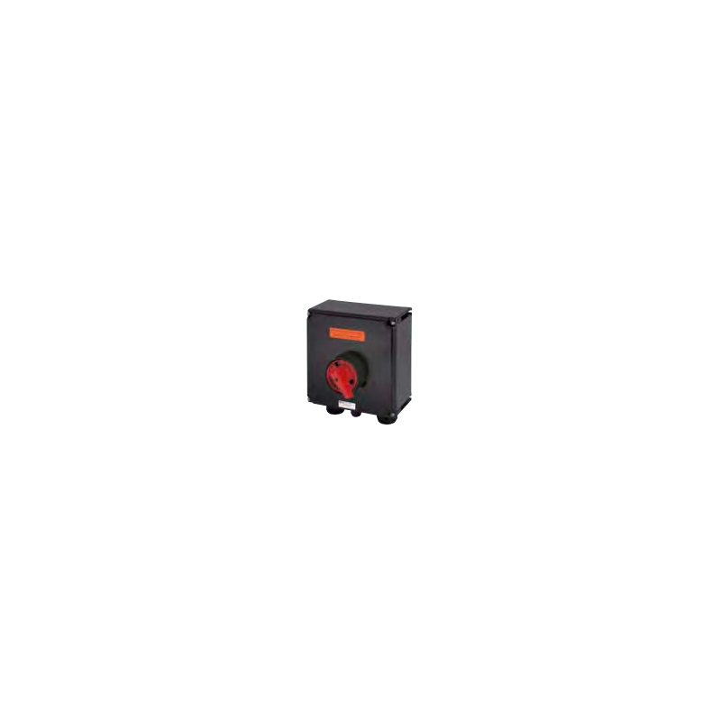 Industrial safety switch Ex (100A) GHG 981 0029 R0004 Industrial safety switch Ex (100A) GHG 981 0029 R0004