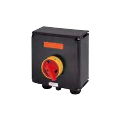 Industrial safety switch Ex (100A) GHG 981 0029 R0005