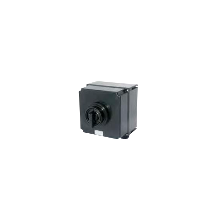 Główny wyłącznik prądowy Ex 80A GHG 264 0022 R9015