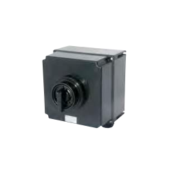Główny wyłącznik prądowy Ex 80A GHG 264 0019 R0004