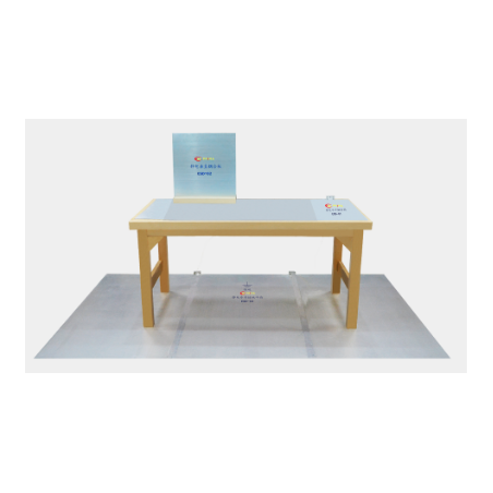 ESD-DESK 1