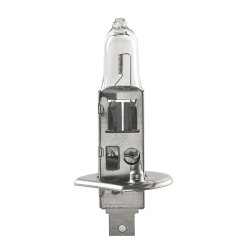 H1 - Bulb - 71603 | DACPOL Poland