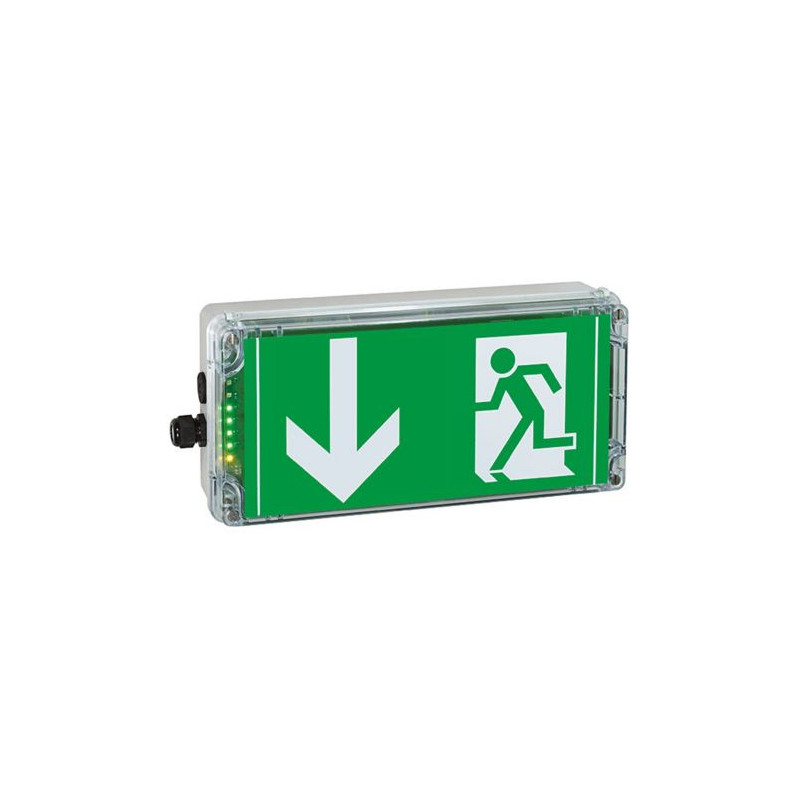 Ex-Lite LT (dolna temperatura do -40C) exit-n014