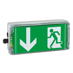 Ex-Lite NLT (temperatura inferior a -40 °C) salida-n016