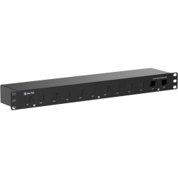 DL-CS-RACK-1U-INJECTOR - Обмежувач перенапруг (SPD)