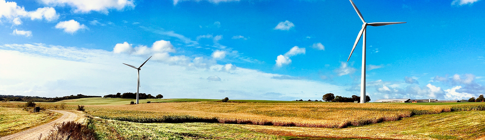 srodowisko_banner.jpg