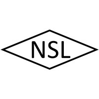 Naina Semiconductor